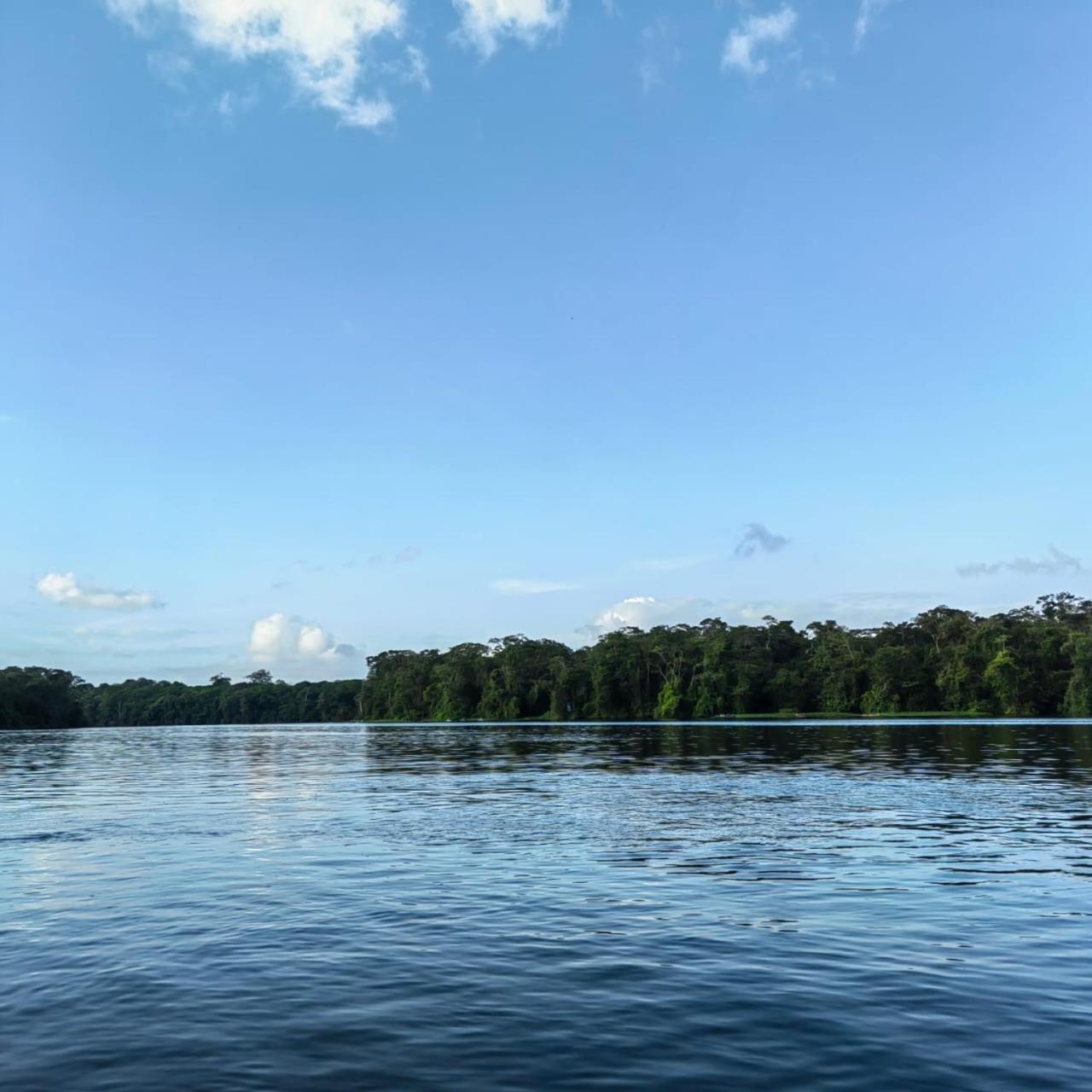 Tortuguero Villas Bagian luar foto
