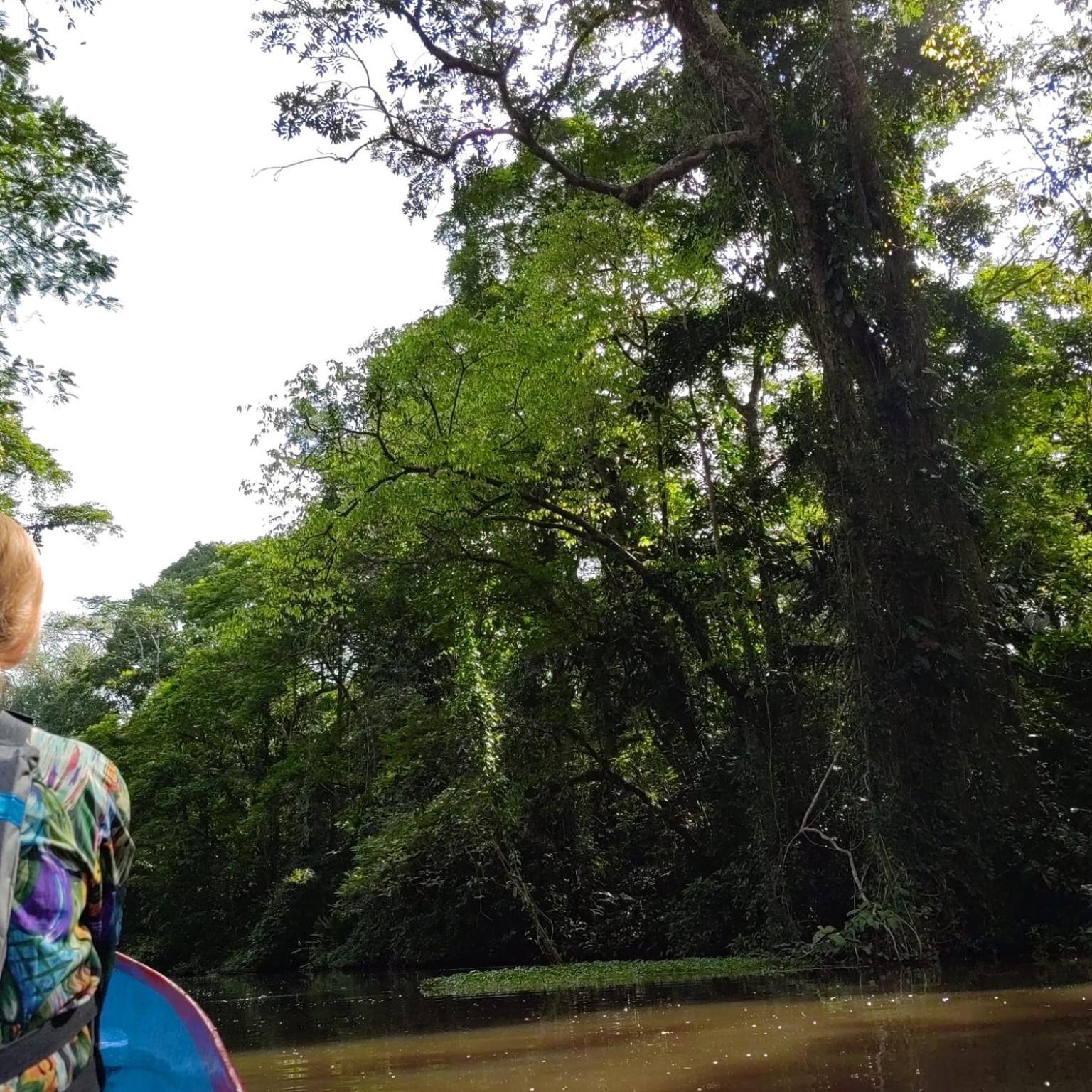 Tortuguero Villas Bagian luar foto