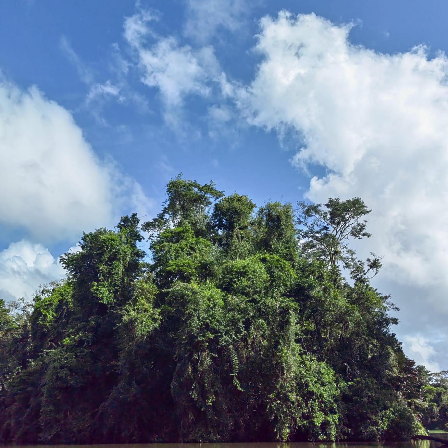 Tortuguero Villas Bagian luar foto
