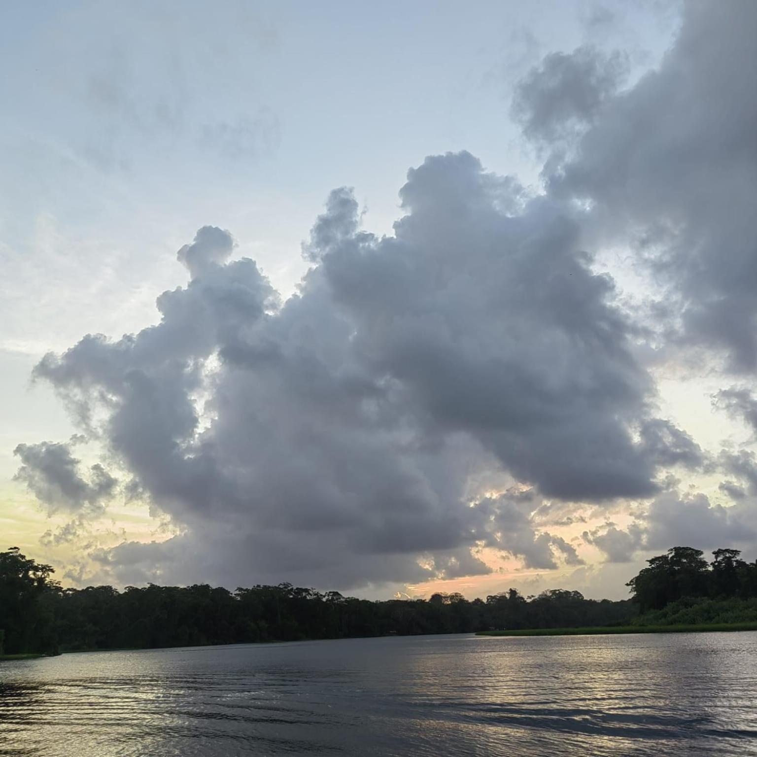Tortuguero Villas Bagian luar foto